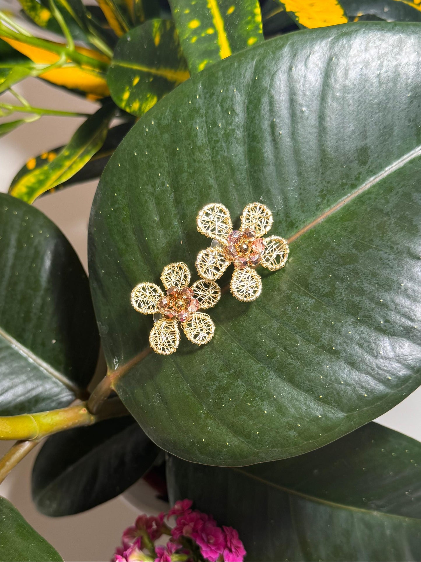 Gold Jasmine