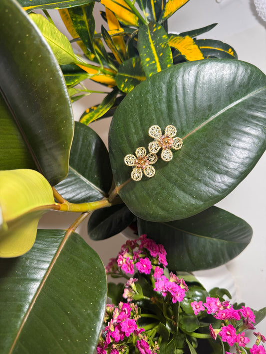 Gold Jasmine
